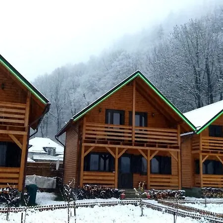 Villa Aroa Mountain à Zărneşti Extérieur photo