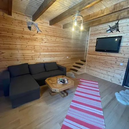 Villa Aroa Mountain à Zărneşti Extérieur photo