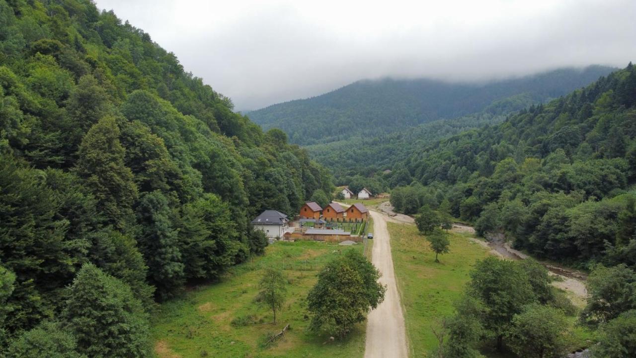 Aroa Mountain *