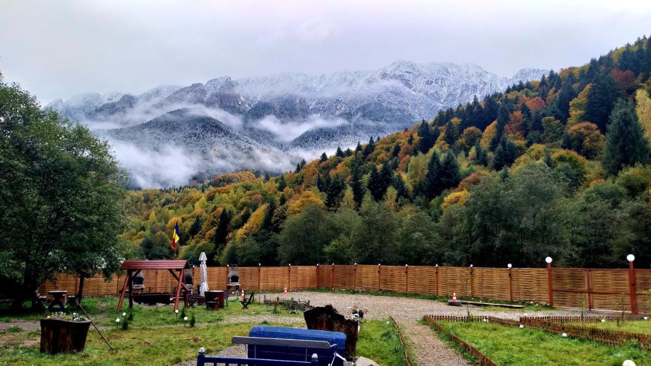 Aroa Mountain Zărneşti
