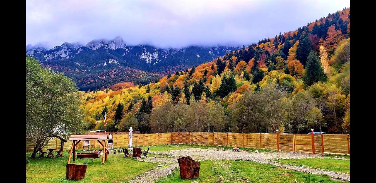 Aroa Mountain *