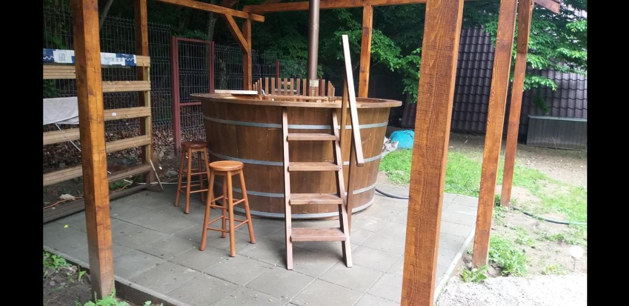 Hébergement de vacances Aroa Mountain Zărneşti