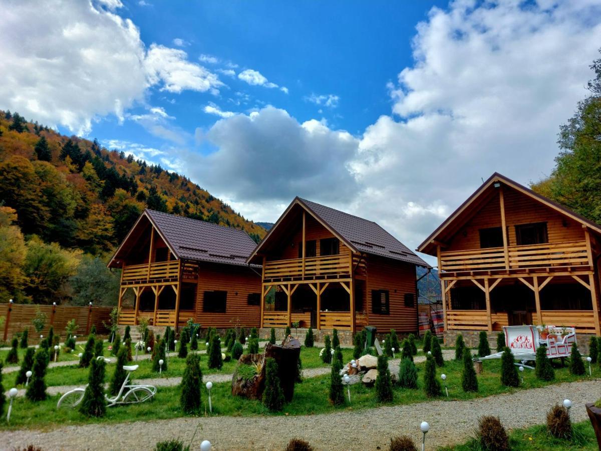 Aroa Mountain * Zărneşti