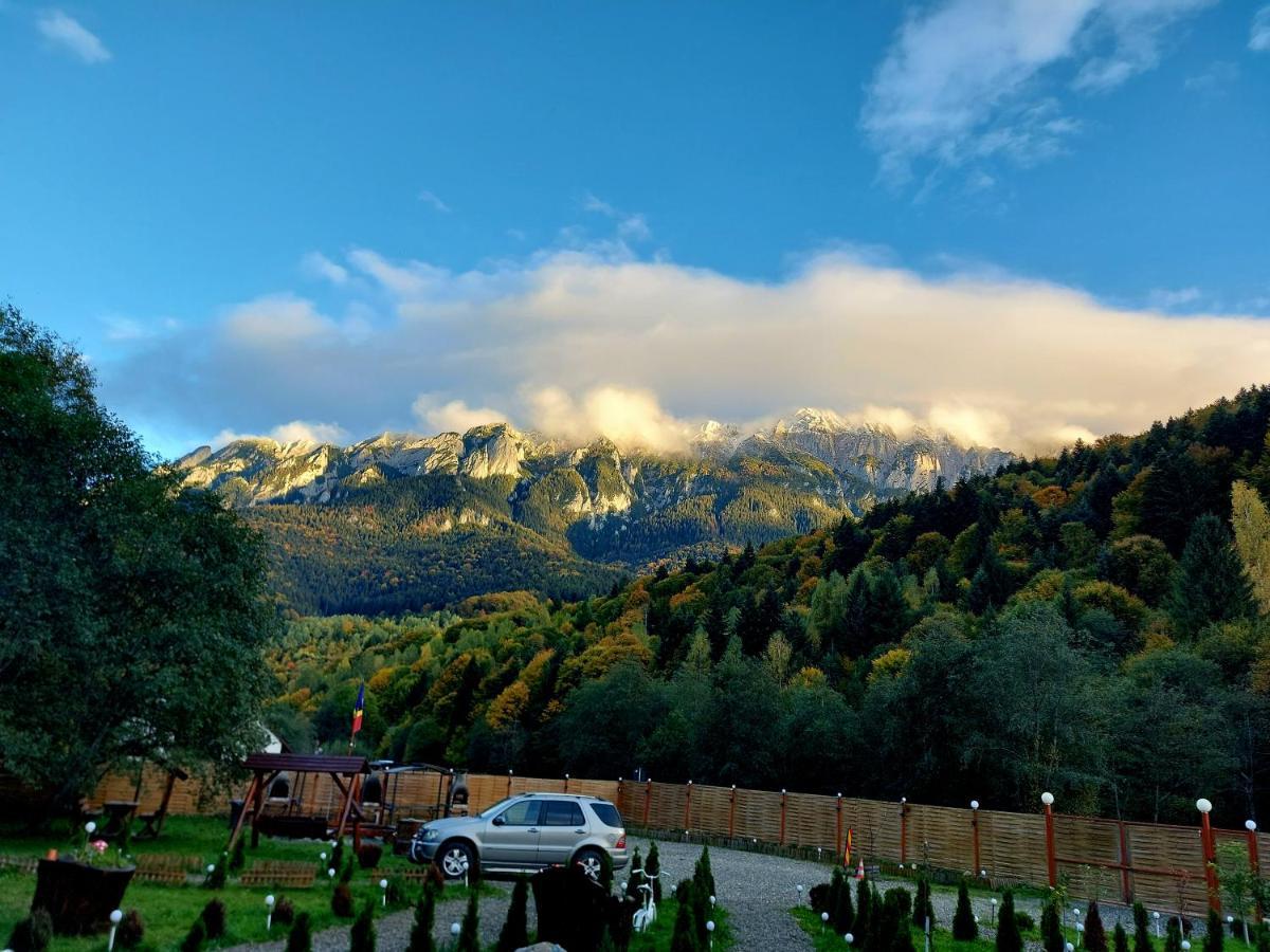 Aroa Mountain Zărneşti