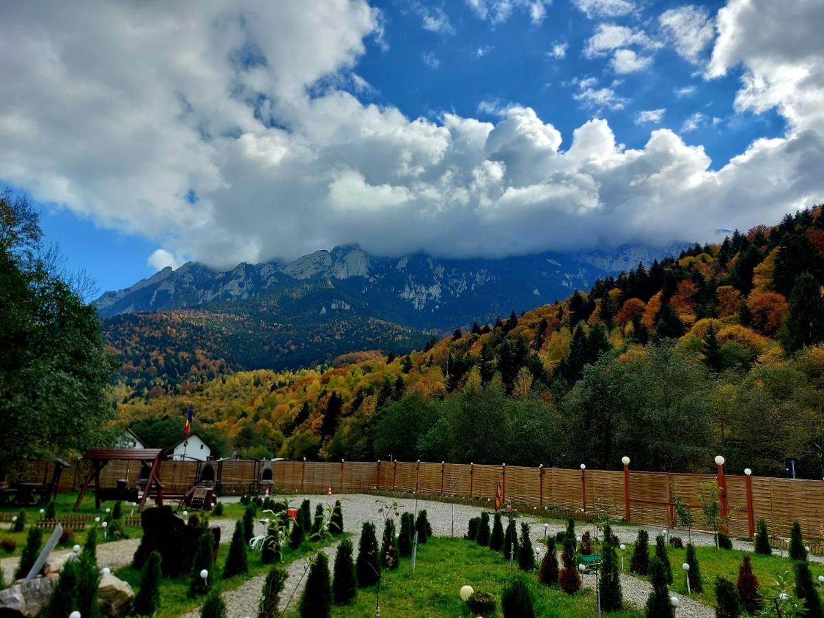 Aroa Mountain