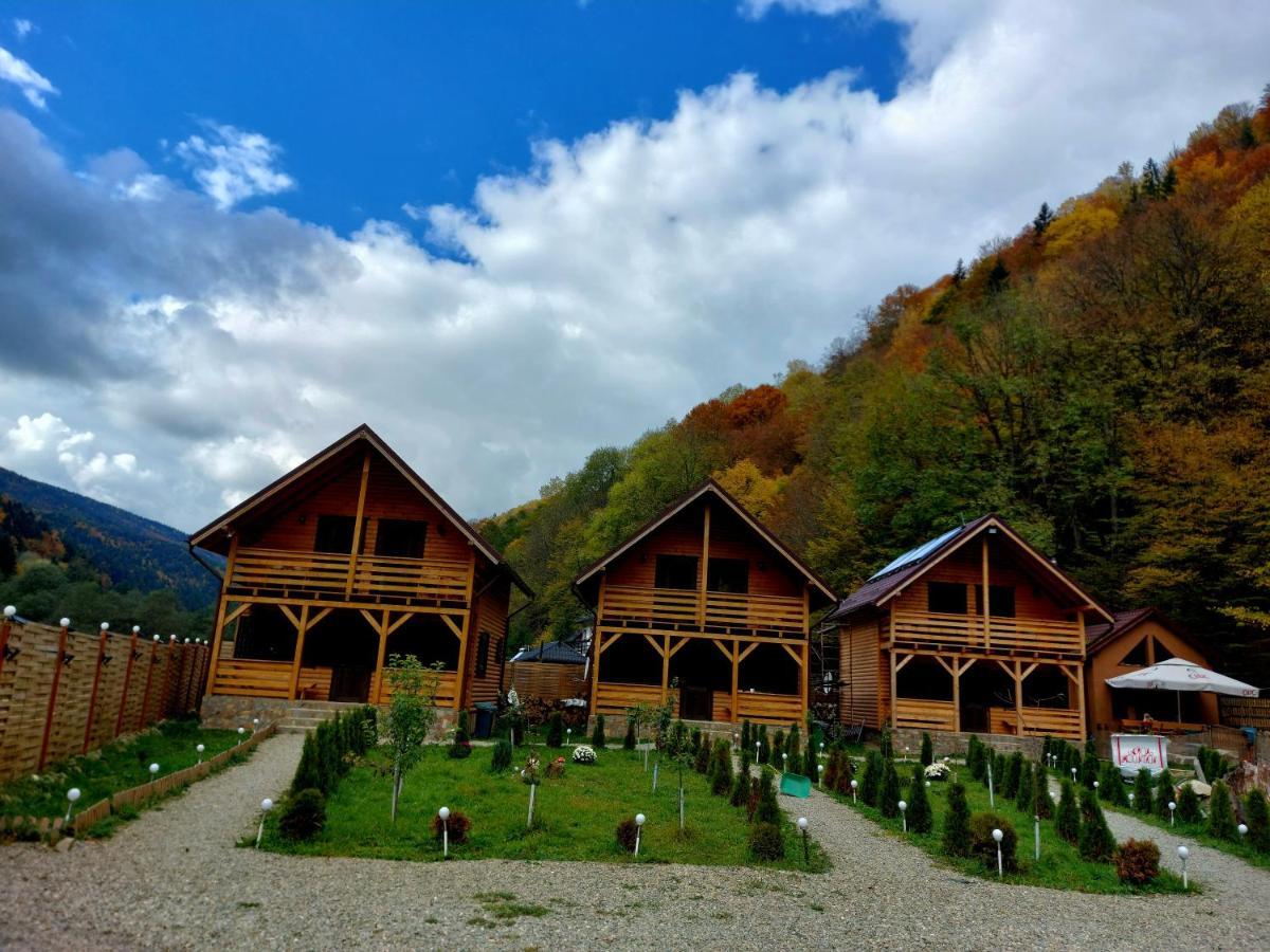 Aroa Mountain