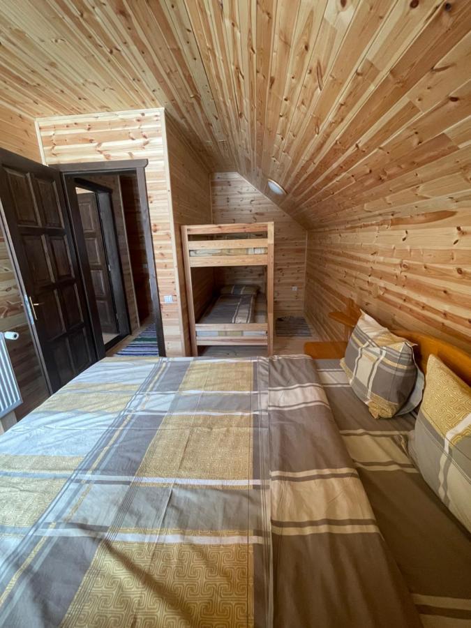 Aroa Mountain Hébergement de vacances Zărneşti
